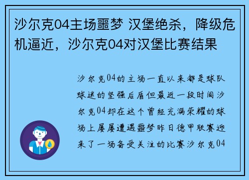 沙尔克04主场噩梦 汉堡绝杀，降级危机逼近，沙尔克04对汉堡比赛结果